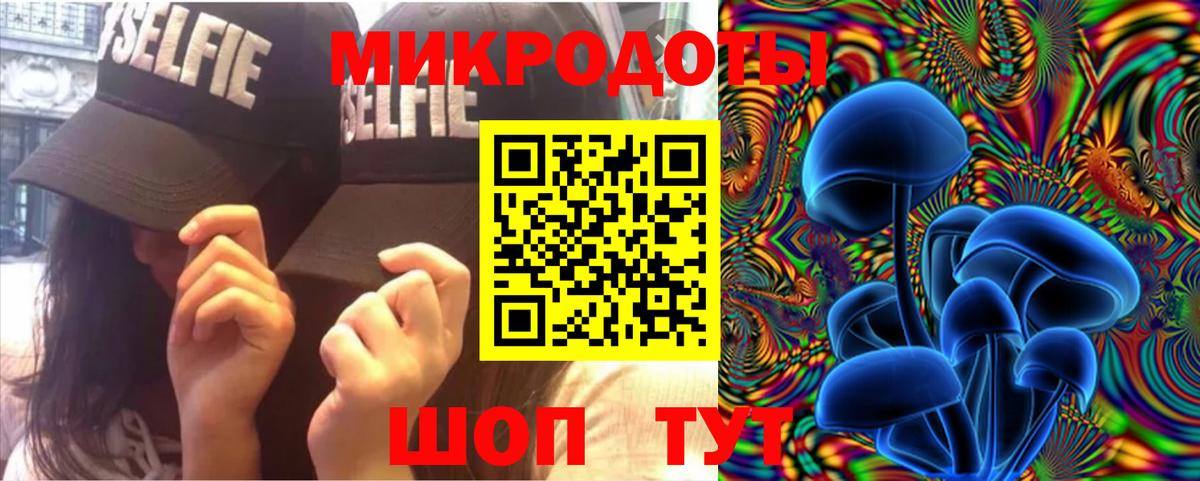 Галлюциногенные грибы Psilocybine cubensis Нягань